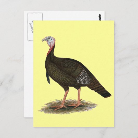 トルコ:東部の野生の雄 ポストカード (正面/裏面)