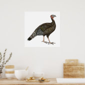 トルコ：標準ブロンズめん ポスター (キッチン)