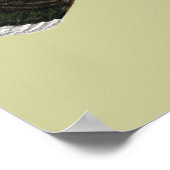 トルコ：標準ブロンズめん ポスター (角)