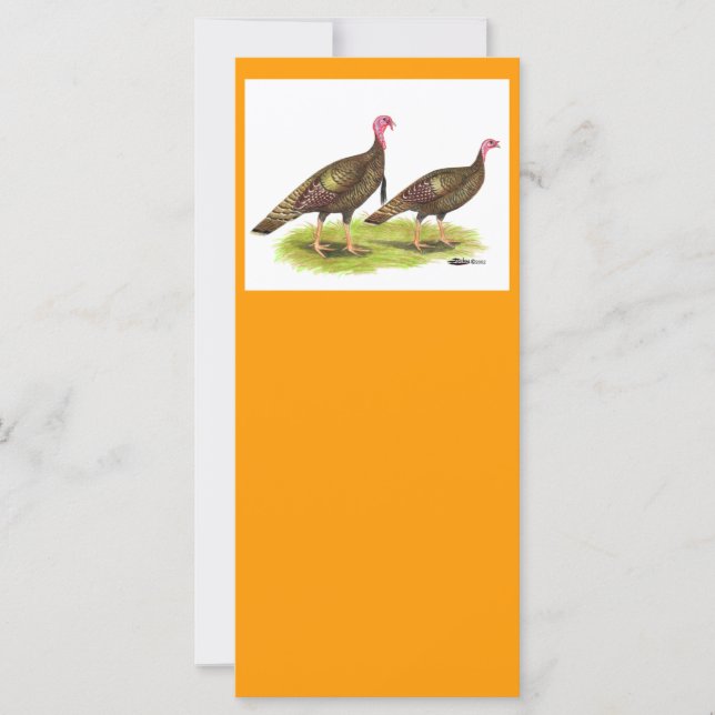 トルコ：野生のブロンズ (正面)