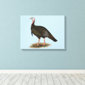 トルコ： Eastern Wild Tom キャンバスプリント (インサイチュ (ウッドフロア))