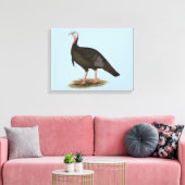 トルコ： Eastern Wild Tom キャンバスプリント (インサイチュ (リビング))