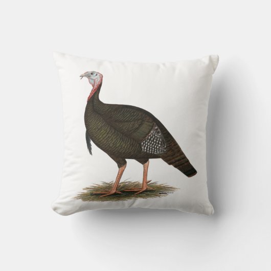 トルコ: Eastern Wild Tom クッション (正面)
