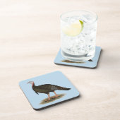 トルコ： Eastern Wild Tom コースター (右側)