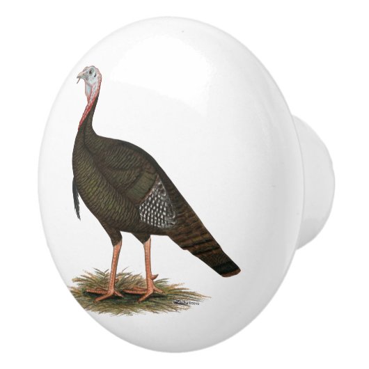 トルコ： Eastern Wild Tom セラミックノブ (右)