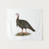 トルコ： Eastern Wild Tom タペストリー (正面(横))