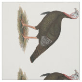 トルコ： Eastern Wild Tom ファブリック (見本)