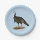 トルコ： Eastern Wild Tom ペーパープレート (正面)