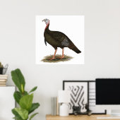 トルコ： Eastern Wild Tom ポスター (ホームオフィス)