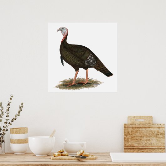 トルコ： Eastern Wild Tom ポスター (キッチン)