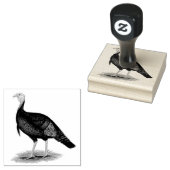 トルコ： Eastern Wild Tom ラバースタンプ (押印)