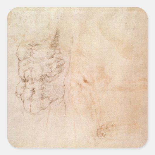 トルソ勉強 スクエアシール (正面)