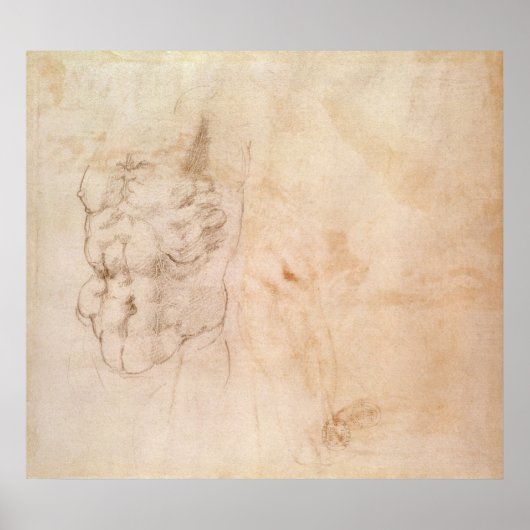 トルソ勉強 ポスター (正面)