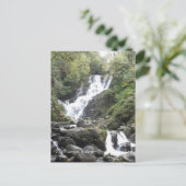 トルック・ウォーターフォール、キラーニー。アイルランド ポストカード (スタンド正面)