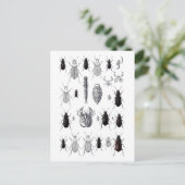 トルッペフォンエイリアン ポストカード (スタンド正面)