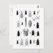 トルッペフォンエイリアン ポストカード (正面/裏面)