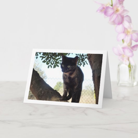 トルトイセシェル·キットン·イン·ツリー カード (蘭)