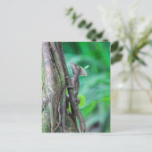 トルトゥゲロのイエスキリスト・バシリスク・リザード ポストカード (スタンド正面)