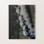 トルトゥゲロ国立公園でウミガメ – コスタリカ ジグソーパズル (縦)