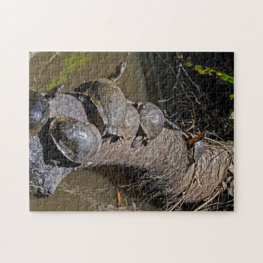 トルトゥゲロ国立公園でウミガメ – コスタリカ ジグソーパズル (横)