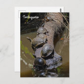 トルトゥゲロ国立公園でウミガメ – コスタリカ ポストカード (正面/裏面)