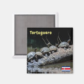 トルトゥゲロ国立公園でウミガメ – コスタリカ マグネット (正面/裏面)