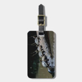 トルトゥゲロ国立公園でウミガメ – コスタリカ ラゲッジタグ (正面縦)