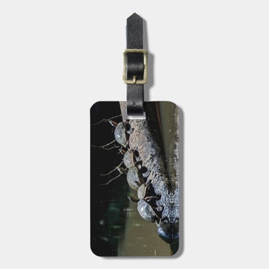 トルトゥゲロ国立公園でウミガメ – コスタリカ ラゲッジタグ (正面縦)