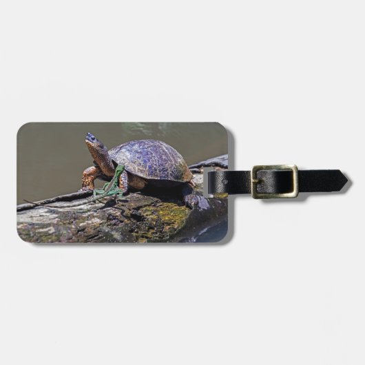 トルトゥゲロ島のリザードとリバー・タートルズ – コスタリカ ラゲッジタグ (正面横)
