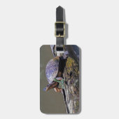 トルトゥゲロ島のリザードとリバー・タートルズ – コスタリカ ラゲッジタグ (正面縦)