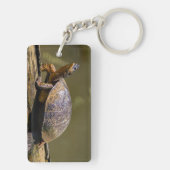 トルトゥゲロ川のカメ – コスタリカ キーホルダー (裏面)