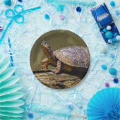 トルトゥゲロ川のカメ – コスタリカ ペーパープレート (パーティー)