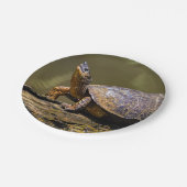トルトゥゲロ川のカメ – コスタリカ ペーパープレート (アングル)