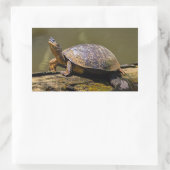 トルトゥゲロ川のカメ – コスタリカ 長方形シール (バッグ)