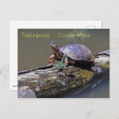 トルトゥゲーロのトカゲとスッポン - コスタリカ ポストカード (正面/裏面)