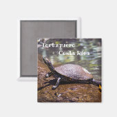 トルトゥゲーロ - 黄腹スライダー・カメ マグネット (正面/裏面)