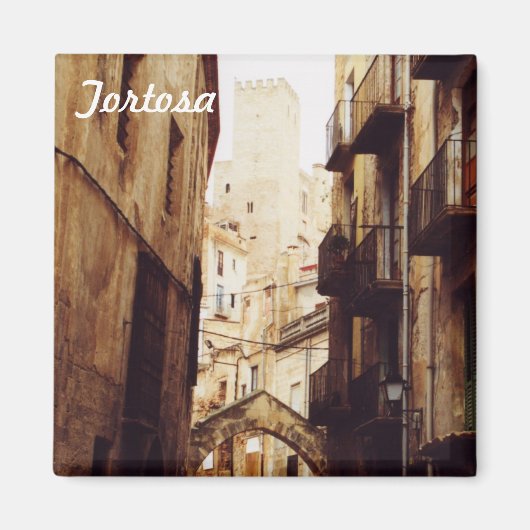 トルトサ マグネット (正面)