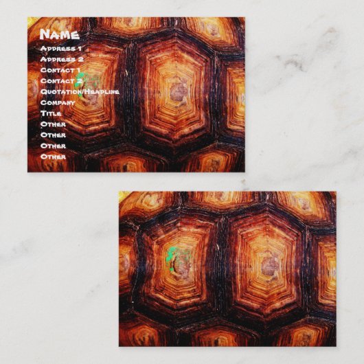 トルトワシェル 名刺 (正面/裏面)