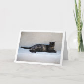 トルトースヘルキャットポートレート カード (正面)