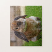 トルトースヘルベルベティーンホランドロップバニーウサギ ジグソーパズル (縦)