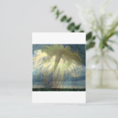 トルナドイヌラ ポストカード (スタンド正面)