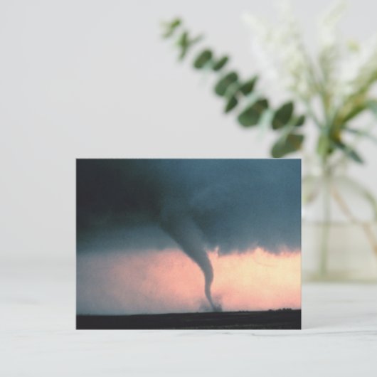 トルナド ポストカード (スタンド正面)