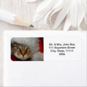 「トルーパーザキャット」サンドペーパーキス住所 シール (インサイチュ)