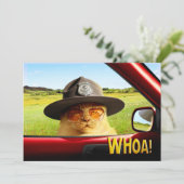 トルーパー·キャット 招待状 (スタンド正面)