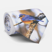 トルーマンのブルーバードのミズーリの州鳥氏 ネクタイ (ロール)