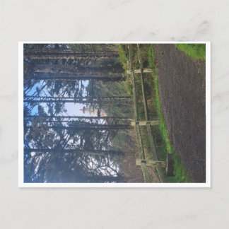 トレイルからヘケタのヘッドライトハウス ポストカード