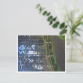 トレイルからヘケタのヘッドライトハウス ポストカード (スタンド正面)