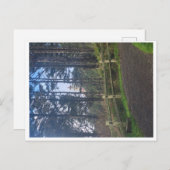 トレイルからヘケタのヘッドライトハウス ポストカード (正面/裏面)