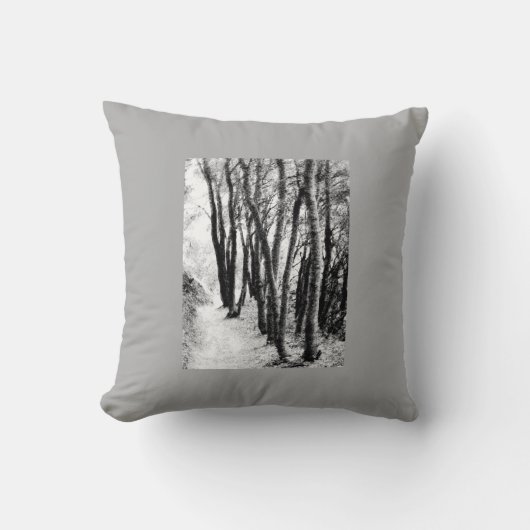 トレイルで クッション (正面)