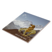 トレイルのEMD タイル (側面)